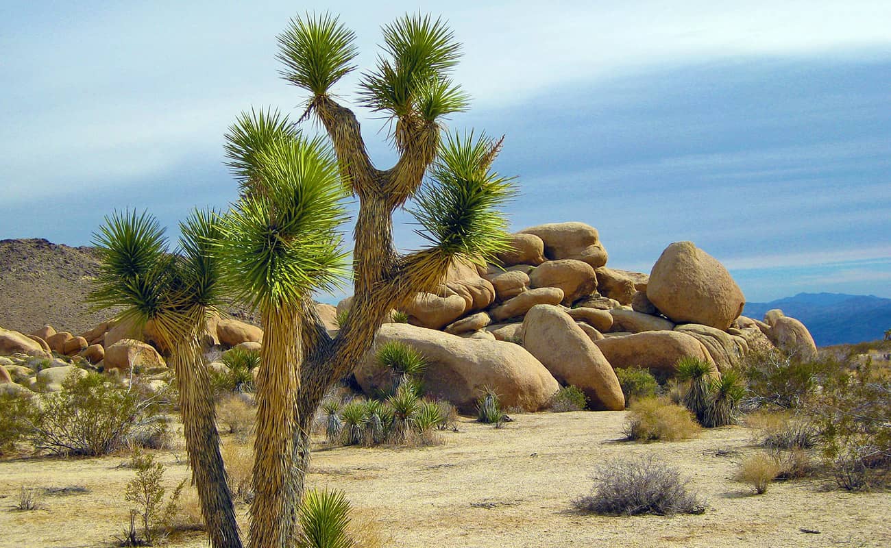 National Park USA National Park USA